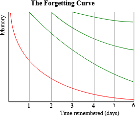 Ebbinghaus Forgetting curve engl | LAW FIRM CHANGE CONSULTANTS